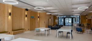 zehnder-carboline-2n5a1648