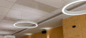 zehnder-carboline-2n5a1657