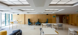 zehnder-carboline-2n5a1677