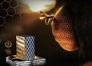 actis-visuel-campagne