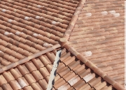 dsc_7637_cjpeg-studios_print-300-dpi-logo