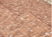 dsc_7640_cjpeg-studios_print-300-dpi-logo