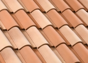 114-mediane_reno_gelis-cote_vendeenne-plain_carre-edilians-1