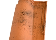 114-mediane_reno_gelis-terre_de_vienne-produit_unitaire-edilians-1