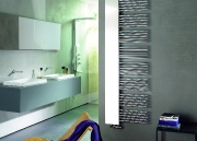 zehnder_rad_yucca_mirror_bathroom_print_30816