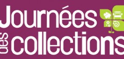 logo-1cc8c