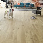 Design-Parquet-DOLOMITES grande amb10*15