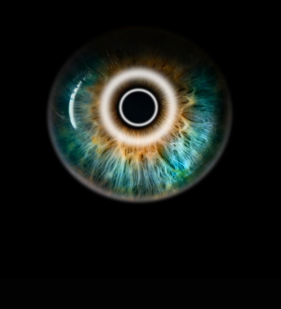 Blue,Orange,Human,Eye,Close,Up,Background.,Color,Perception,Blindness