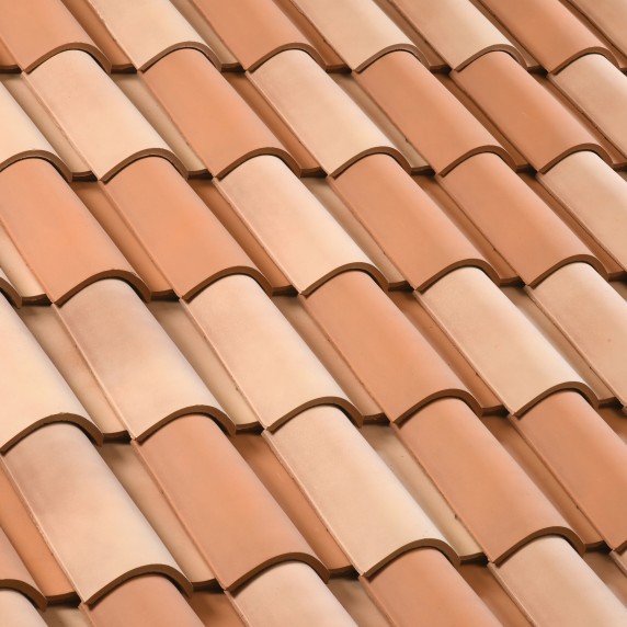 114-mediane_reno_Gelis-cote_Vendeenne-plain_carre-edilians-1